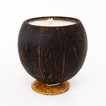 Whole Coconut Candle - Coconut